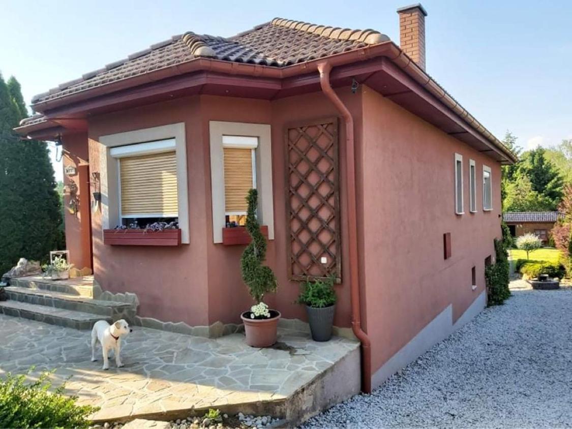 Nyirjes Vendeghaz Hotel Balassagyarmat Buitenkant foto