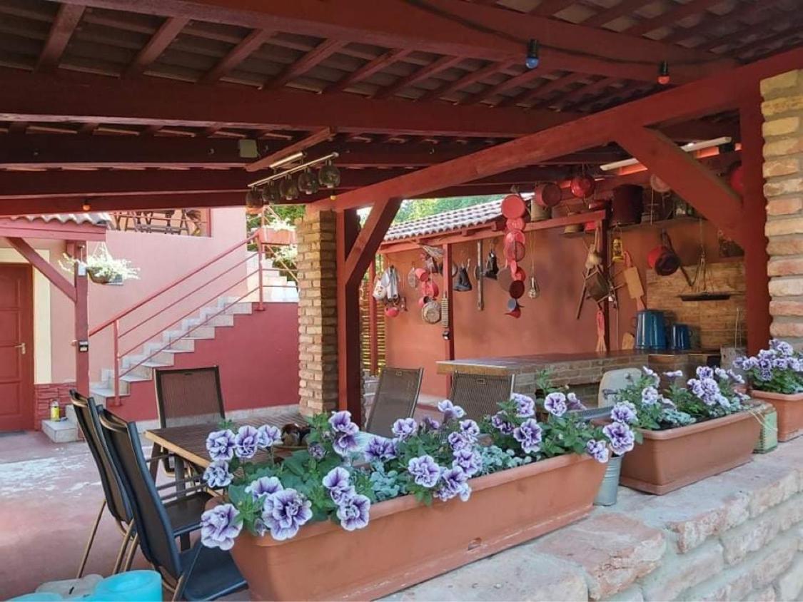 Nyirjes Vendeghaz Hotel Balassagyarmat Buitenkant foto