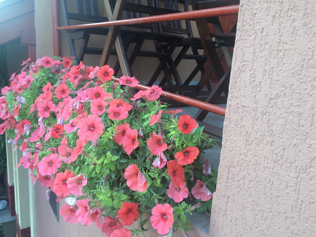 Nyirjes Vendeghaz Hotel Balassagyarmat Buitenkant foto