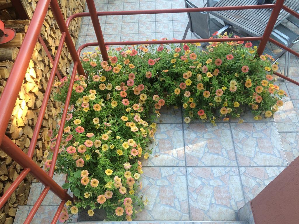 Nyirjes Vendeghaz Hotel Balassagyarmat Buitenkant foto