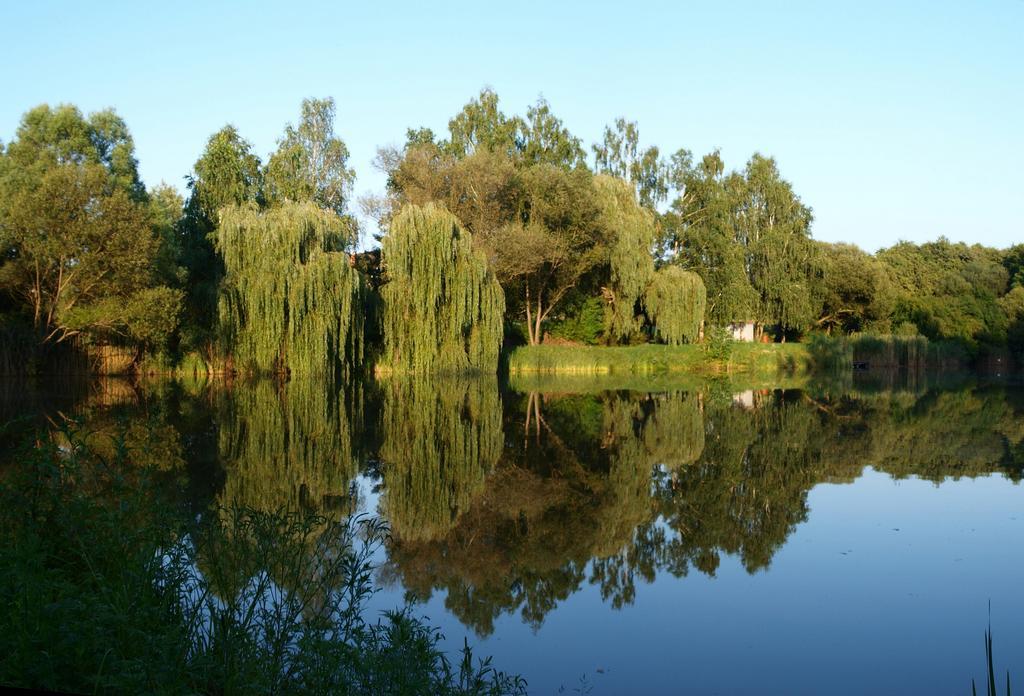 Nyirjes Vendeghaz Hotel Balassagyarmat Buitenkant foto