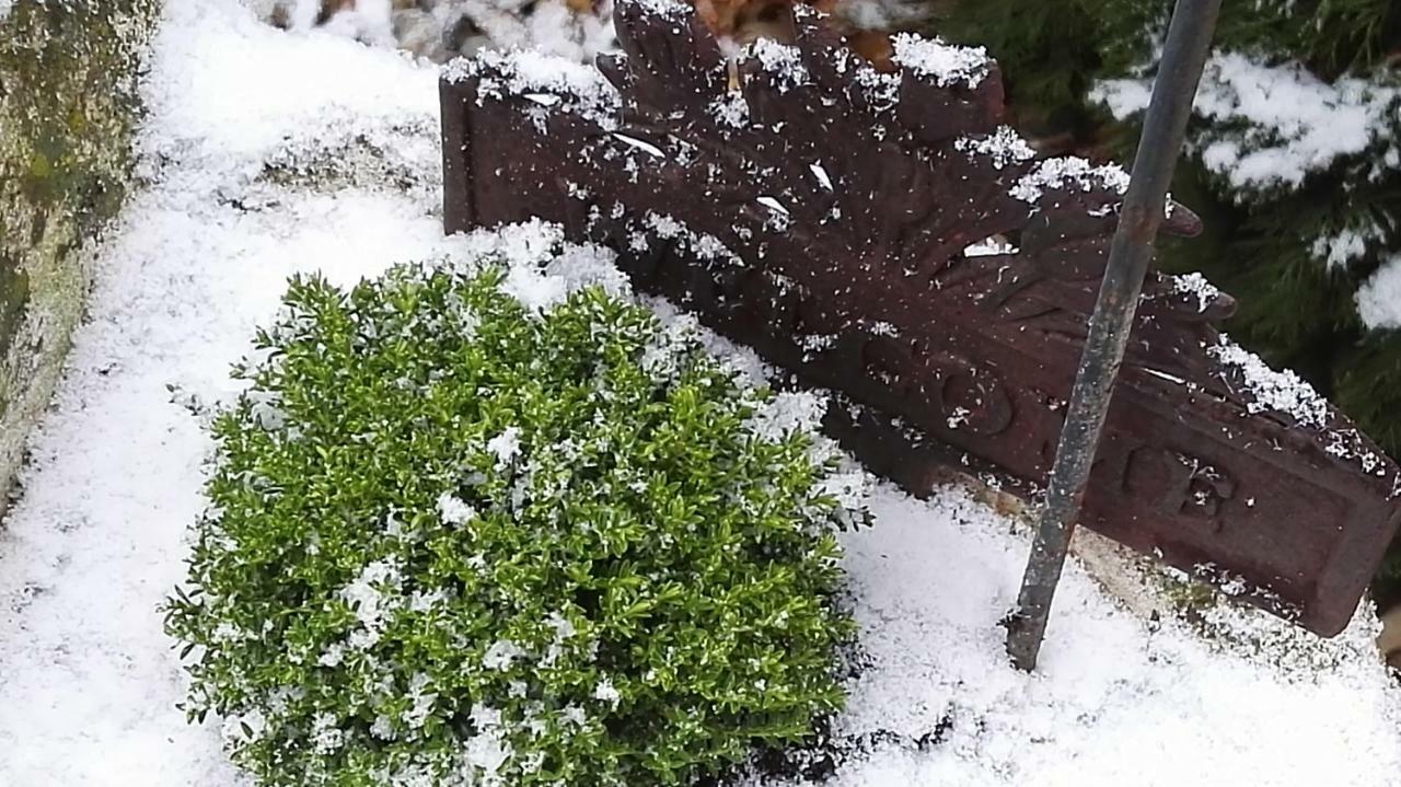 Nyirjes Vendeghaz Hotel Balassagyarmat Buitenkant foto