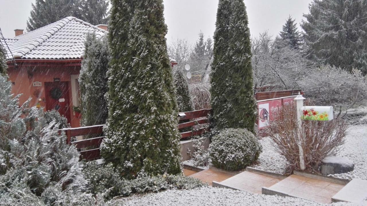 Nyirjes Vendeghaz Hotel Balassagyarmat Buitenkant foto